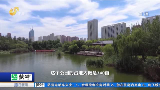 来枣庄 逛公园