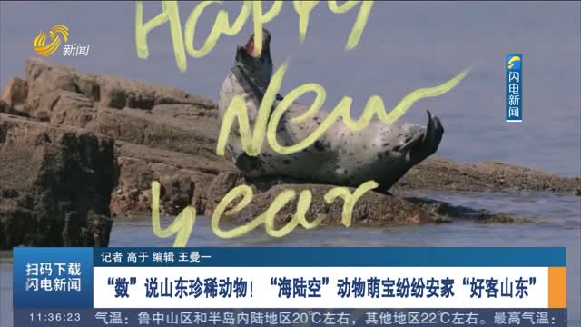 【全国生态日】“数”说山东珍稀动物！“海陆空”动物萌宝纷纷安家“好客山东”
