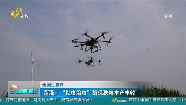 【全国生态日】菏泽：“以虫治虫”确保秋粮丰产丰收