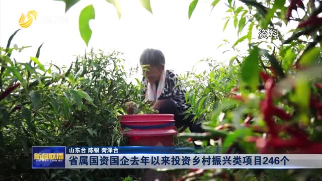 省属国资国企去年以来投资乡村振兴类项目246个