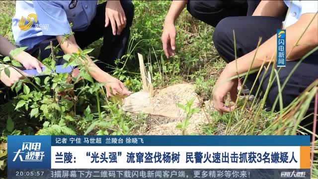 兰陵：“光头强”流窜盗伐杨树 民警火速出击抓获3名嫌疑人