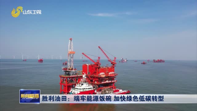 胜利油田：端牢能源饭碗 加快绿色低碳转型