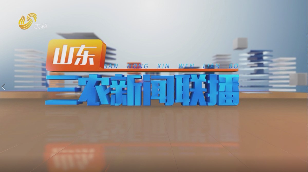 2023年11月27日山东三农新闻联播完整版