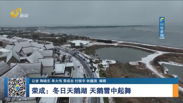 荣成：冬日天鹅湖 天鹅雪中起舞