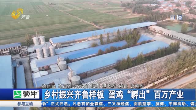乡村振兴齐鲁样板 蛋鸡“孵出”百万产业