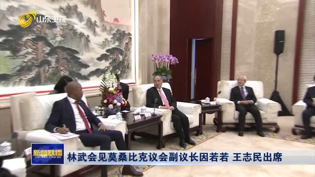 林武会见莫桑比克议会副议长因若若 王志民出席