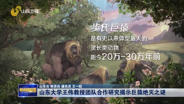 山东大学王伟教授团队合作研究揭示巨猿绝灭之谜