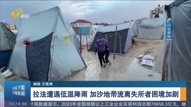 拉法遭遇低温降雨 加沙地带流离失所者困境加剧
