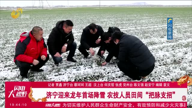 【应对寒潮天气】济宁迎来龙年首场降雪 农技人员田间“把脉支招”