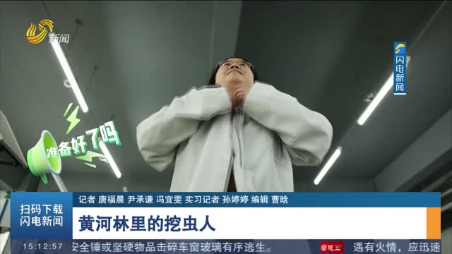 黄河林里的挖虫人