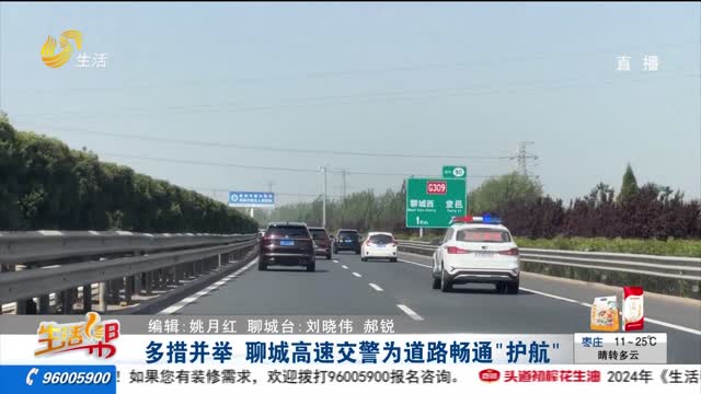 多措并举 聊城高速交警为道路畅通“护航”