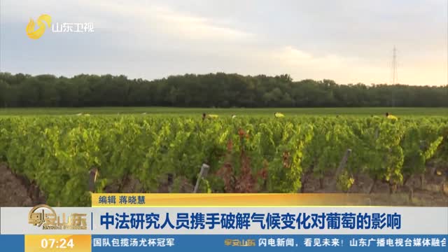 中法研究人员携手破解气候变化对葡萄的影响