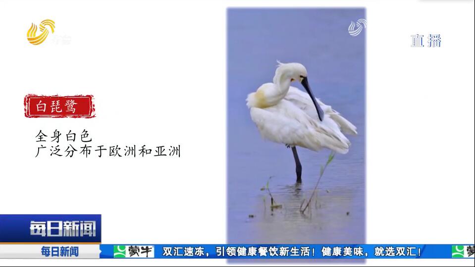 加强环境治理守好自然生态空间 珍稀物种在山东“安家”名单再扩容