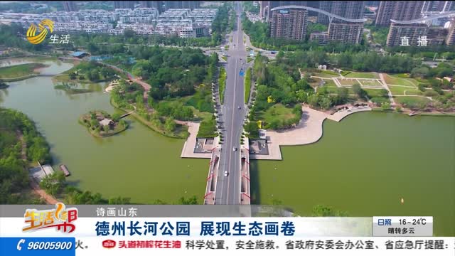 【诗画山东】德州长河公园 展现生态画卷