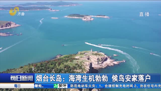 烟台长岛：海湾生机勃勃 候鸟安家落户