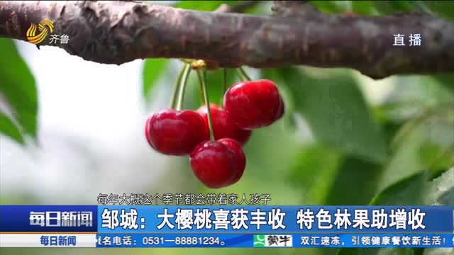 邹城：大樱桃喜获丰收 特色林果助增收