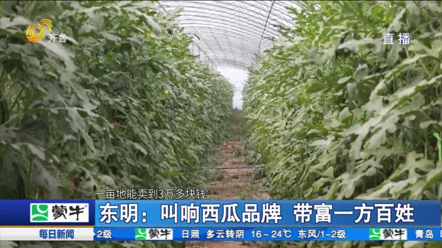 东明：叫响西瓜品牌 带富一方百姓
