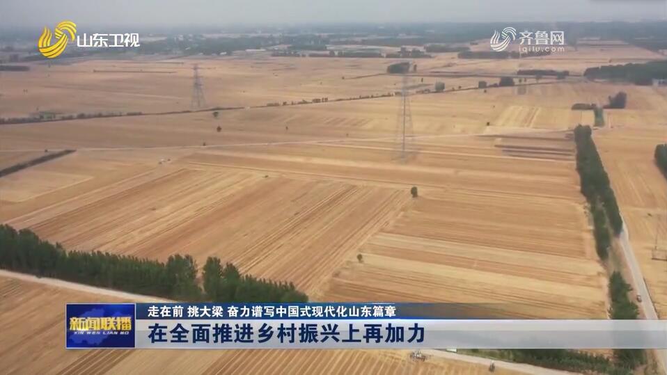 在全面推进乡村振兴上再加力【走在前 挑大梁 奋力谱写中国式现代化山东篇章】