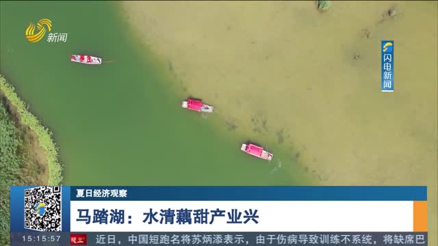 【夏日经济观察】马踏湖：水清藕甜产业兴