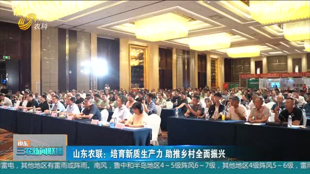 【山东农联合作发展大会】山东农联：培育发展新质生产力 助推乡村全面振兴