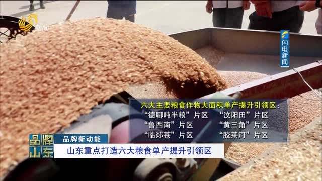 【品牌新动能】山东重点打造六大粮食单产提升引领区