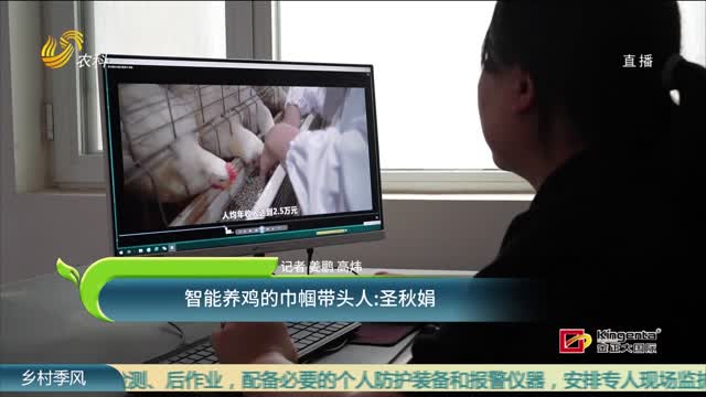 智能养鸡的巾帼带头人：圣秋娟