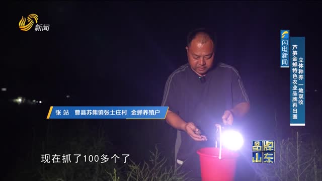 【品牌新势力】立体种养 一地双收 芦笋金蝉特色农业品牌再出圈