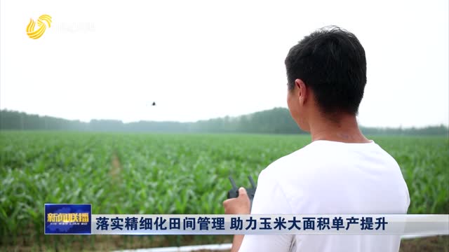 落实精细化田间管理 助力玉米大面积单产提升
