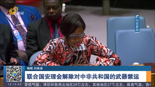 联合国安理会解除对中非共和国的武器禁运