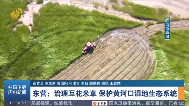 【全国生态日】东营：治理互花米草 保护黄河口湿地生态系统