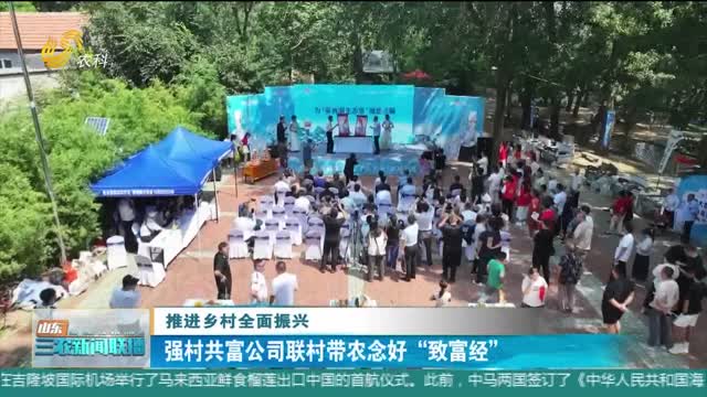 【推进乡村全面振兴】强村共富公司联村带农念好“致富经”