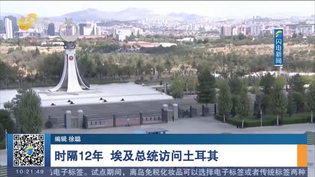 时隔12年 埃及总统访问土耳其