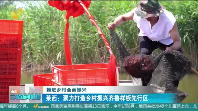 【推进乡村全面振兴】莱西：聚力打造乡村振兴齐鲁样板先行区