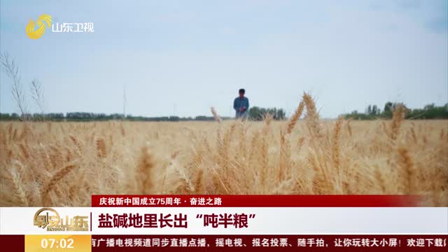 【庆祝新中国成立75周年·奋进之路】盐碱地里长出“吨半粮”