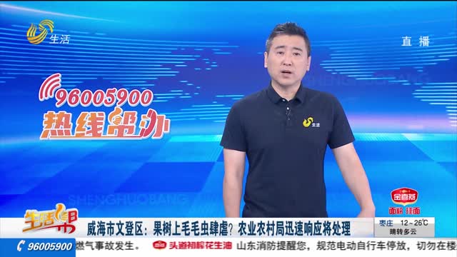 威海市文登区：果树上毛毛虫肆虐？农业农村局迅速响应将处理