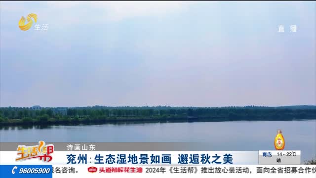 兖州：生态湿地景如画 邂逅秋之美