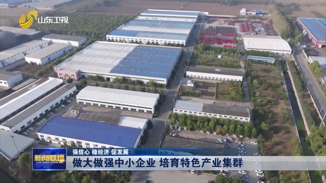 做大做强中小企业 培育特色产业集群 【强信心 稳经济 促发展】