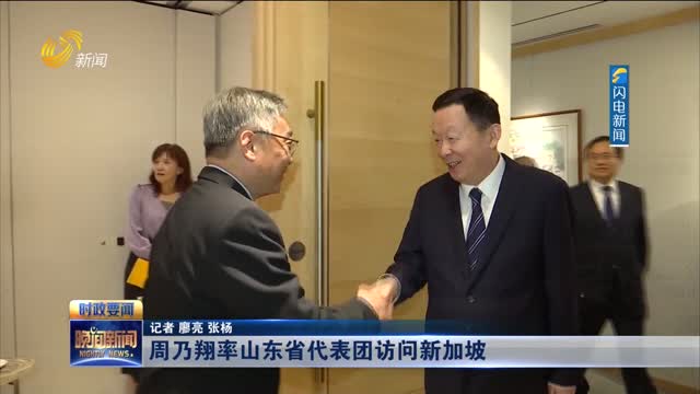 周乃翔率山东省代表团访问新加坡