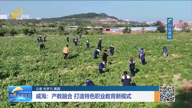 威海：产教融合 打造特色职业教育新模式