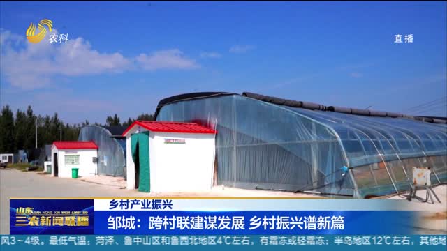 【乡村产业振兴】邹城：跨村联建谋发展 乡村振兴谱新篇