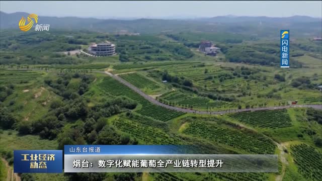 烟台：数字化赋能葡萄全产业链转型提升