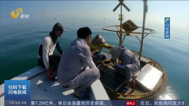 【大省挑大梁·向海图强】青岛：科技型企业动能澎湃 细分赛道实力出圈