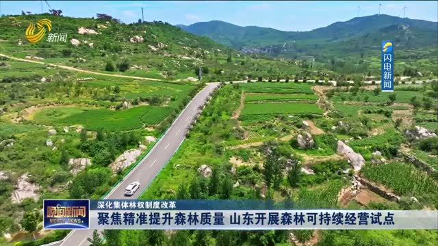 【深化集体林权制度改革】聚焦精准提升森林质量 山东开展森林可持续经营试点