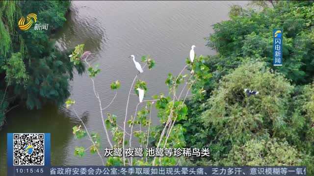 【畅游齐鲁】在郓城宋江湖 来一场深秋探秘之旅
