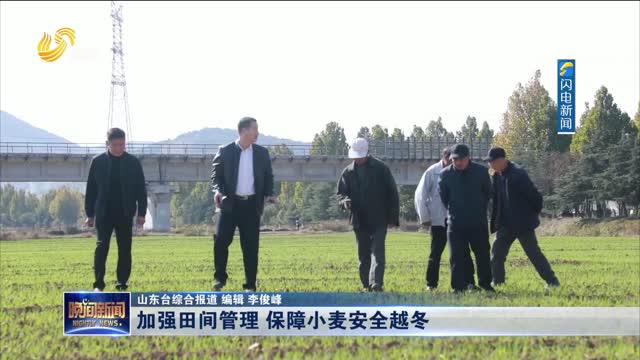 加强田间管理 保障小麦安全越冬