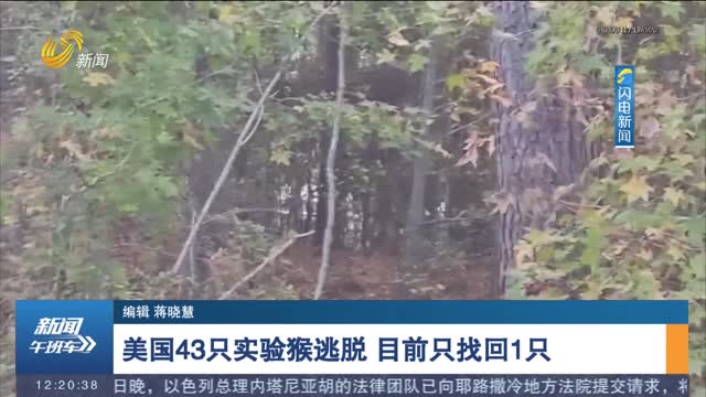 美国43只实验猴逃脱 目前只找回1只