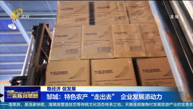 【稳经济 促发展】邹城：特色农产“走出去” 企业发展添动力