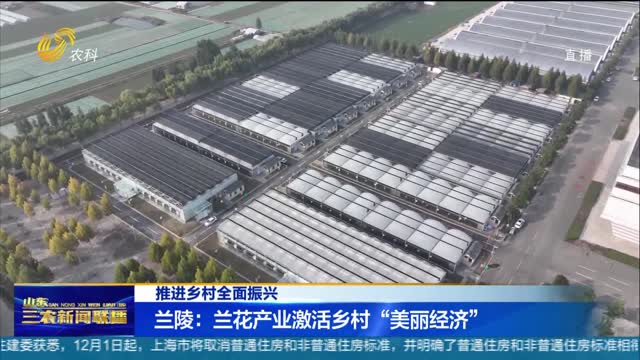 【推进乡村全面振兴】兰陵：兰花产业激活乡村“美丽经济”