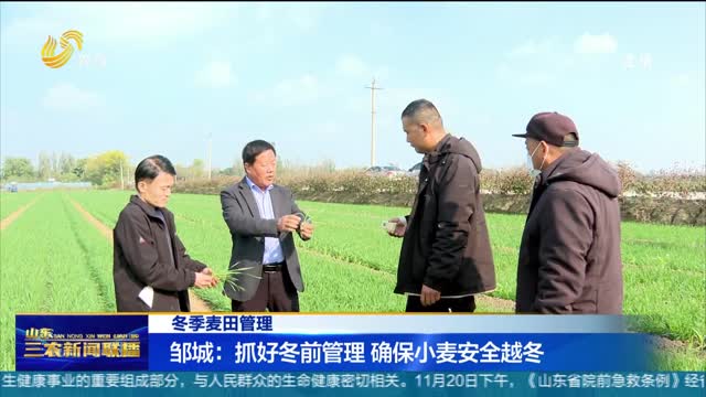 【冬季麦田管理】邹城：抓好冬前管理 确保小麦安全越冬