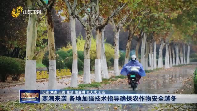寒潮来袭 各地加强技术指导确保农作物安全越冬